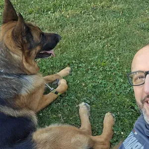 Nayla, 5yo female German Shepherd