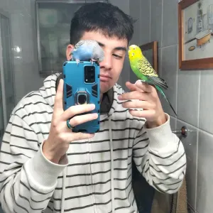 Cuidador de todo tipo de animales 