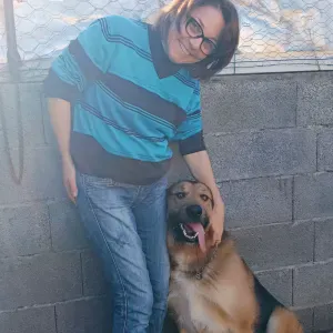 Pet Sitting cães e gatos no Porto