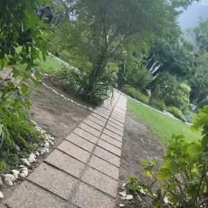 Garde d'animaux à Creil , Sérieuse et passionnée 