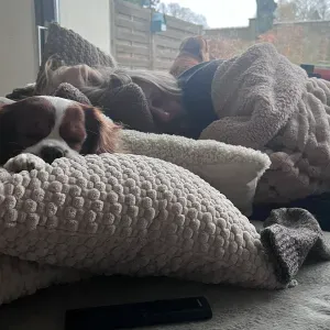 Weekly House Cleaning – 3 Bedroom Home