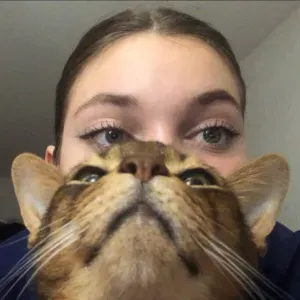 Pet-sitter à Paris et proche banlieue sud.