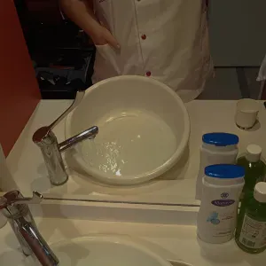 Pet sitter a saint Georges du bois !