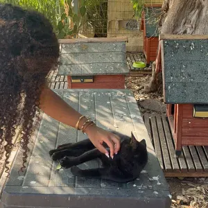 Louisa, 17 ans, lycéenne et baby-sitter expérimentée