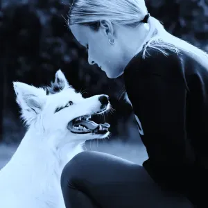 pet sitting monza e brianza, valutate anche vicinanze