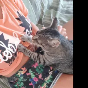 Disponible pour garder vos petit bout avec plaisir