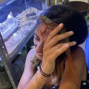 Pet-Sitter à Nice et les alentours 