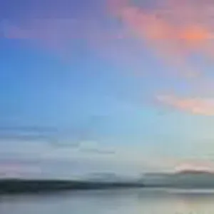 Pet-sitteuse à Lorient 56100 !