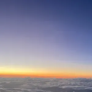 Domestica con esperienza esperta. 