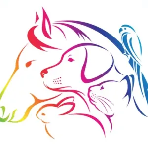 Garde à domicile et communication animale