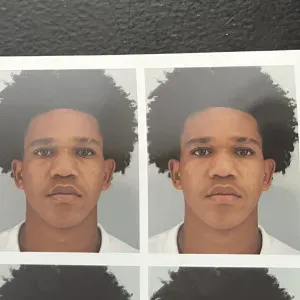 Garde d'animaux à domicile – 17 ans, fiable et dispo