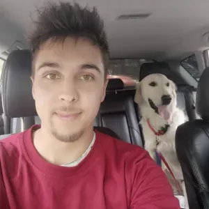 Opieka nad pieskami. PETSITTER 