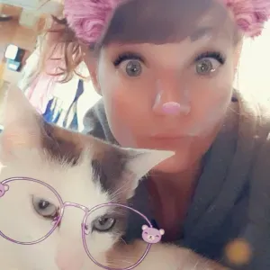 accompagnement et autres pour animaux 