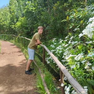 Pet sitting/Dog walking/House sitting in Madeira island