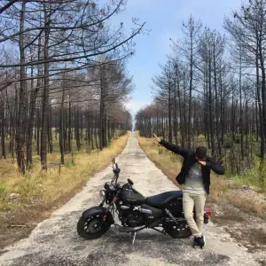 Procuro um petsitter perto de mim