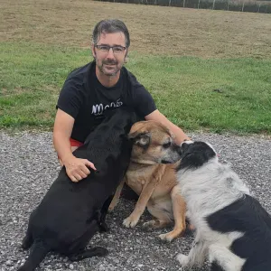 Pet sitter sauveterre de bearn