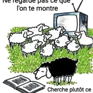 Aide a domicile pour vous seniors 