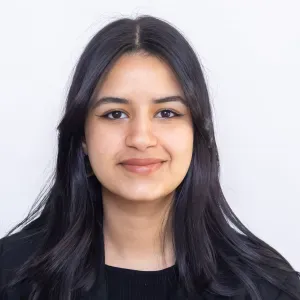 Responsible Cleaner in Bologna