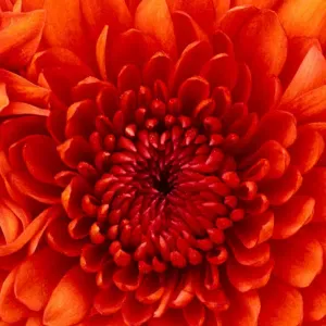 Auxiliaire de vie  à Voisins-le-Bretonneux