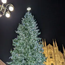 assistenza domiciliare