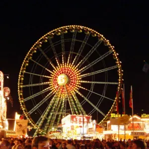 Pet siter Strasbourg 