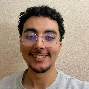 Eleve ingénieur à l'INSA de Lyon