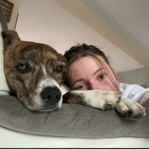 Patte d'Ange : Gardes avec cœur, soins avec douceur