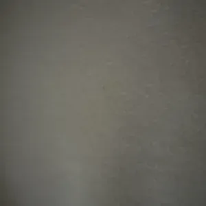 Verantwortlicher Reinigungsienst in Munchen