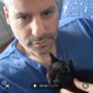 Petsitter chats et nac seulement 