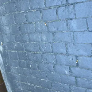 Busco cuidador en Santa Perpètua de Mogoda