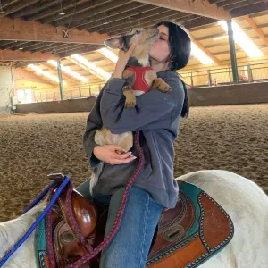 Huisdier oppas aangeboden met veel liefde