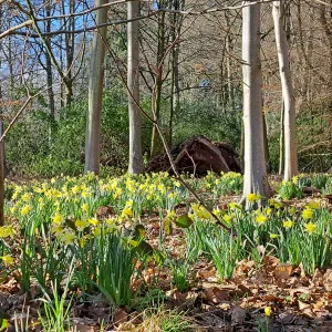 Soutien scolaire, garde, leçons, devoirs.