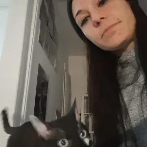 Garde de vos animaux la nuit le jour