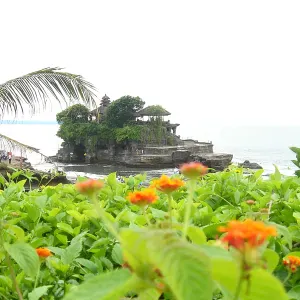 Je recherche une femme de ménage