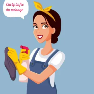 Femme de ménage dans les alentour de barzy sur Marne 