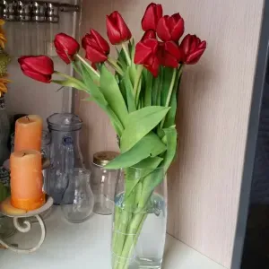 Cercasi pulizie