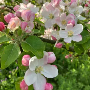 Nounou pleine de vie et de bienveillance :)