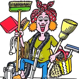 Aide ménagère plus de 10 ans d expériences 