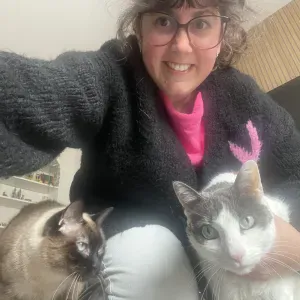 Cat sitting em Coruche, Santarém