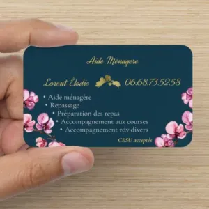 Aide ménagère / repassage / accompagnement au course 