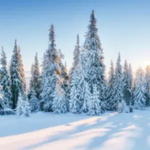 Je recherche une femme de ménage 