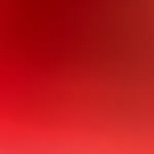 Canguro en Alcoy con experiencia