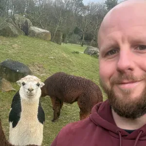 Garde d'animaux à Sulniac dans le Morbihan 