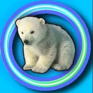 Addetta alle pulizie con grande attenzione ai dettagli !