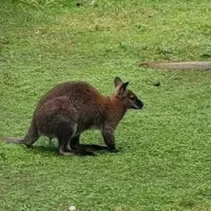 Directeur périscolaire et extrascolaire