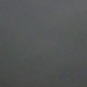 Home help for elders in Grenoble 