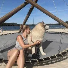 Garde chien ou promenade
