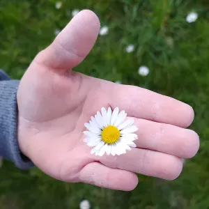 Garde d'enfant diplôme dans la petite enfance 