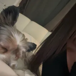 Pet-sitter de Confiance sur paris