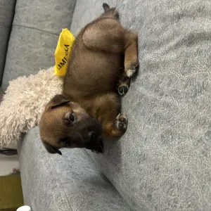 Cuidadora y acompañante de personas mayores en Valladolid